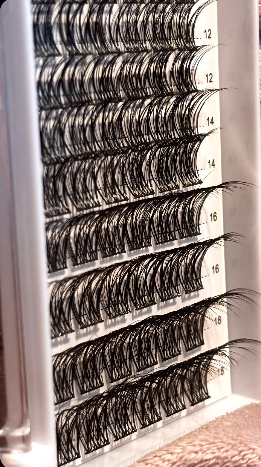 Crossed Elegance Lash Kit